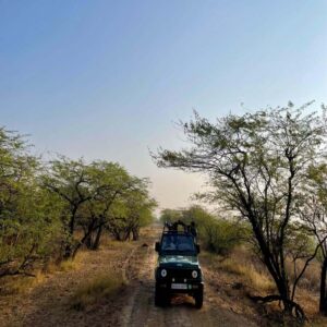 Gokul Resort by Wanderama Sasan Gir